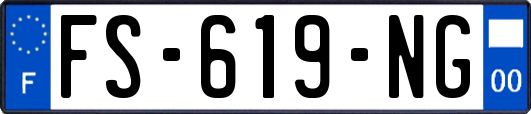 FS-619-NG