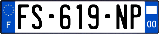 FS-619-NP
