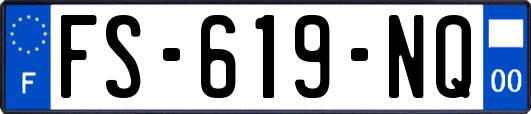 FS-619-NQ