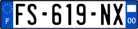 FS-619-NX