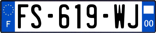 FS-619-WJ