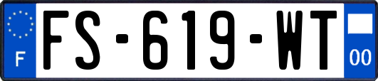 FS-619-WT