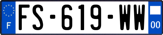 FS-619-WW