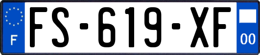 FS-619-XF