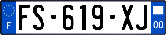 FS-619-XJ
