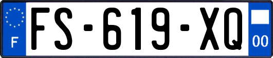 FS-619-XQ