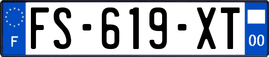 FS-619-XT