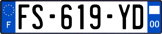 FS-619-YD