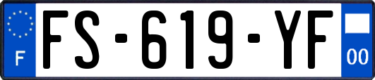 FS-619-YF