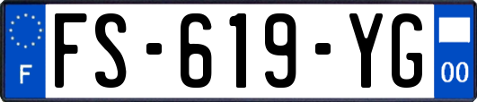 FS-619-YG