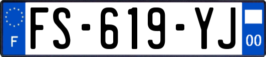 FS-619-YJ