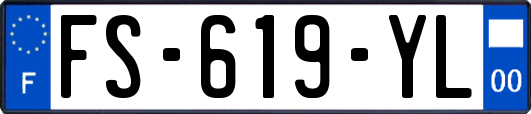 FS-619-YL