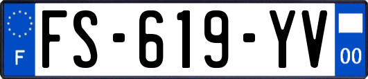 FS-619-YV