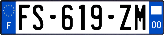 FS-619-ZM