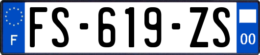 FS-619-ZS