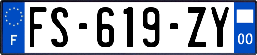 FS-619-ZY