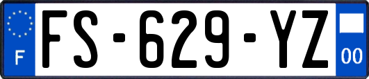 FS-629-YZ