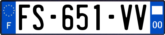 FS-651-VV