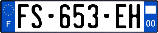 FS-653-EH