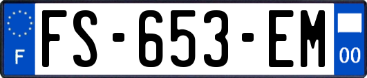 FS-653-EM
