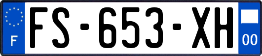 FS-653-XH