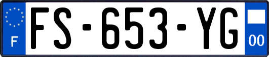 FS-653-YG