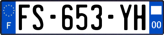 FS-653-YH