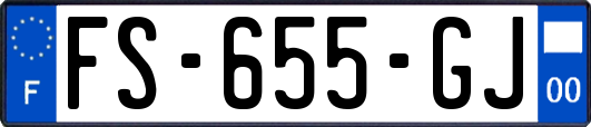 FS-655-GJ