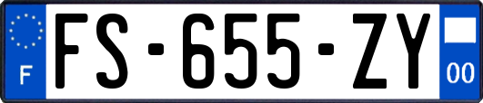 FS-655-ZY