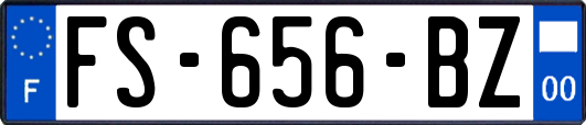 FS-656-BZ