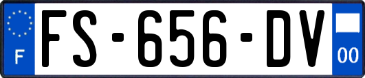 FS-656-DV