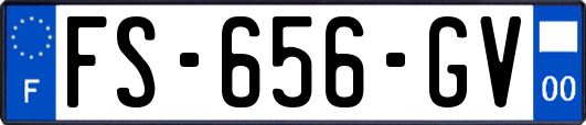 FS-656-GV