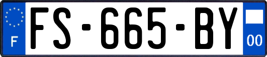 FS-665-BY