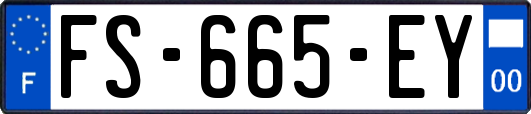 FS-665-EY