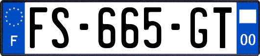 FS-665-GT