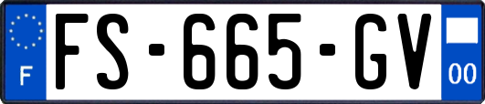 FS-665-GV