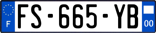 FS-665-YB