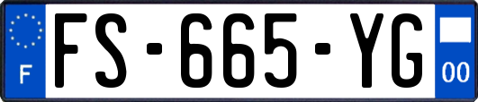 FS-665-YG