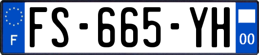 FS-665-YH