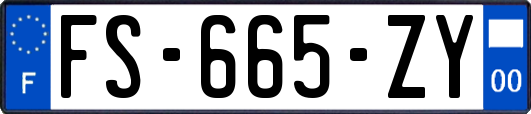 FS-665-ZY