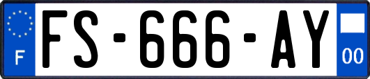 FS-666-AY