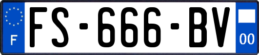 FS-666-BV