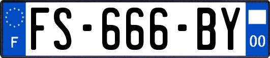 FS-666-BY