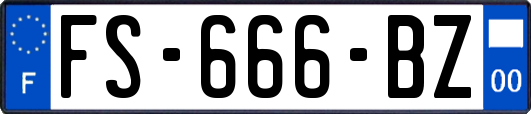 FS-666-BZ