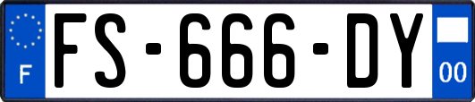 FS-666-DY