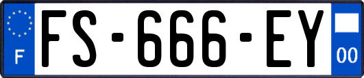 FS-666-EY