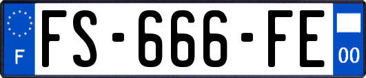 FS-666-FE