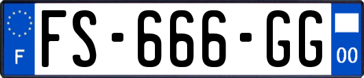 FS-666-GG