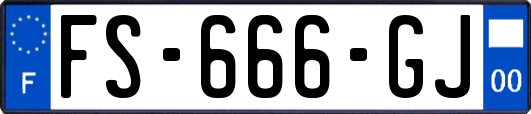 FS-666-GJ