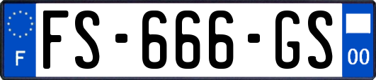 FS-666-GS